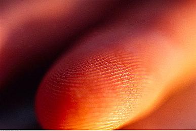 《都市传说解体中心》Steam免费试玩 灵异冒险调查